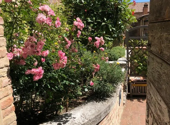 Konukevi Il Corso 4*